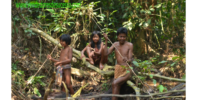 Sejarah Suku Sakai: Asal Usul dan Persebaran di Sumatra